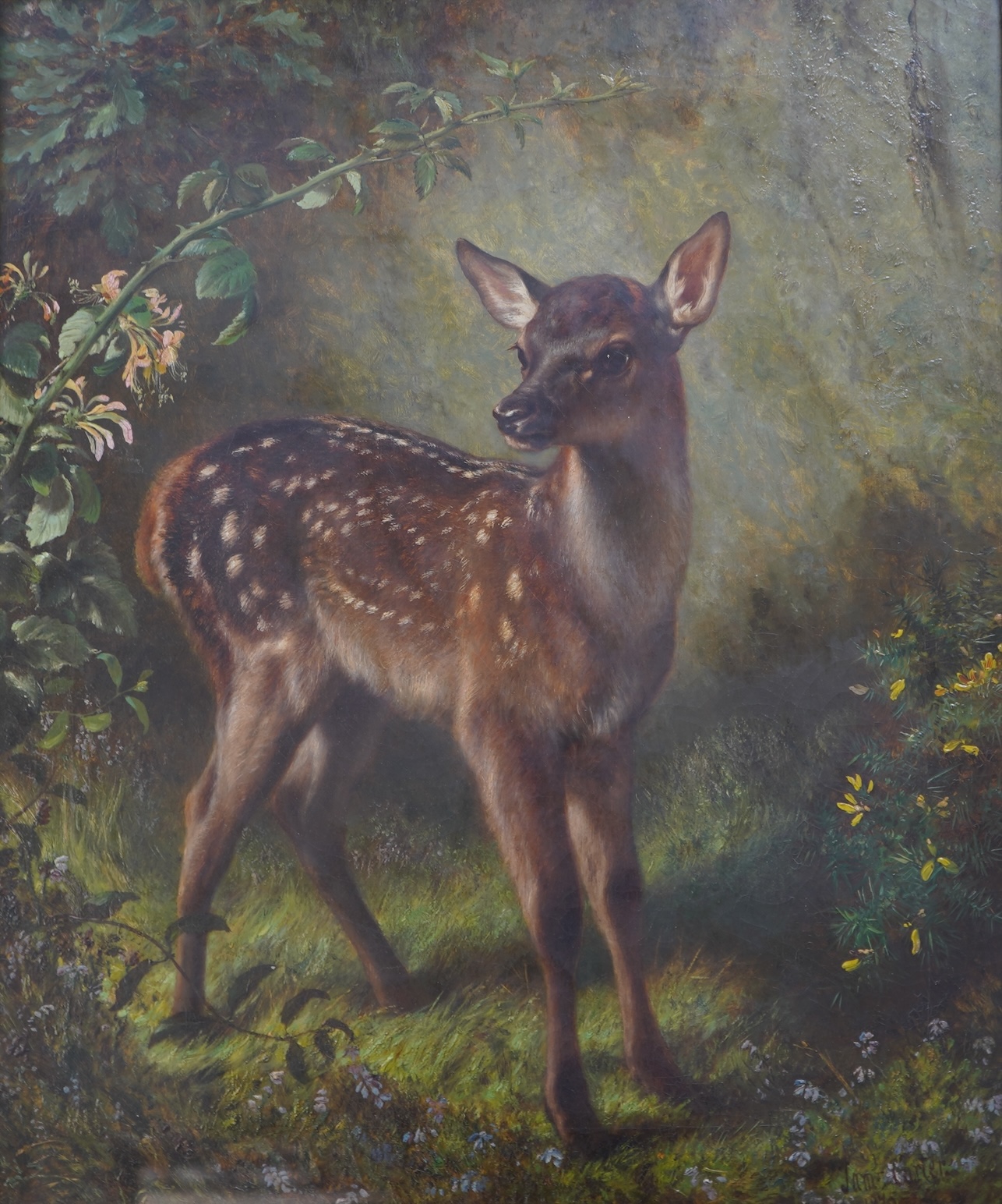 Samuel John Carter, (1835-1892), A fawn in a woodland landscape
